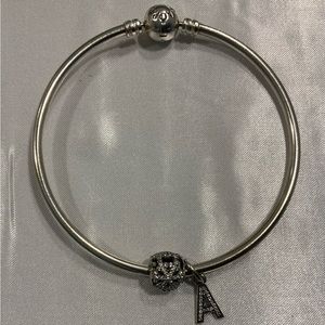 Pandora bangle with retired and limited edition charms